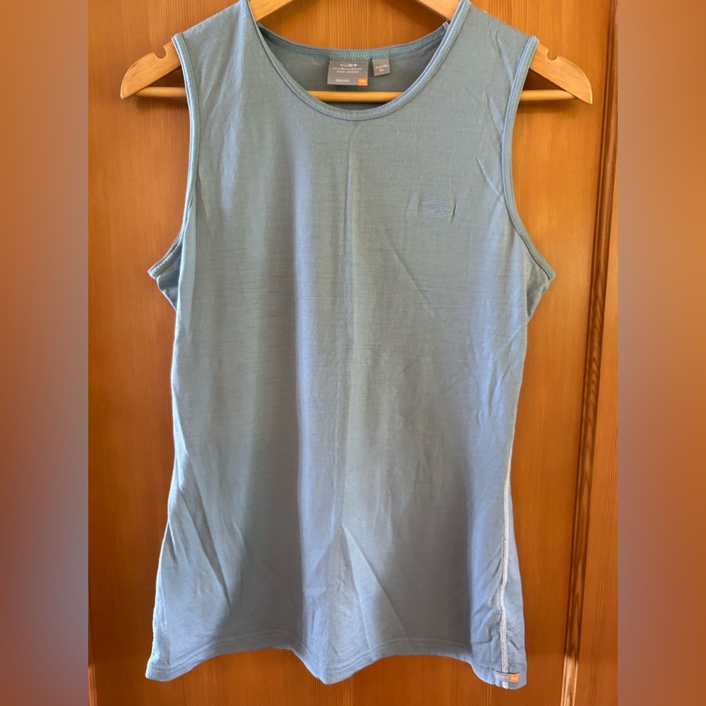 Icebreaker Blue Merino Wool Bodyfit Top